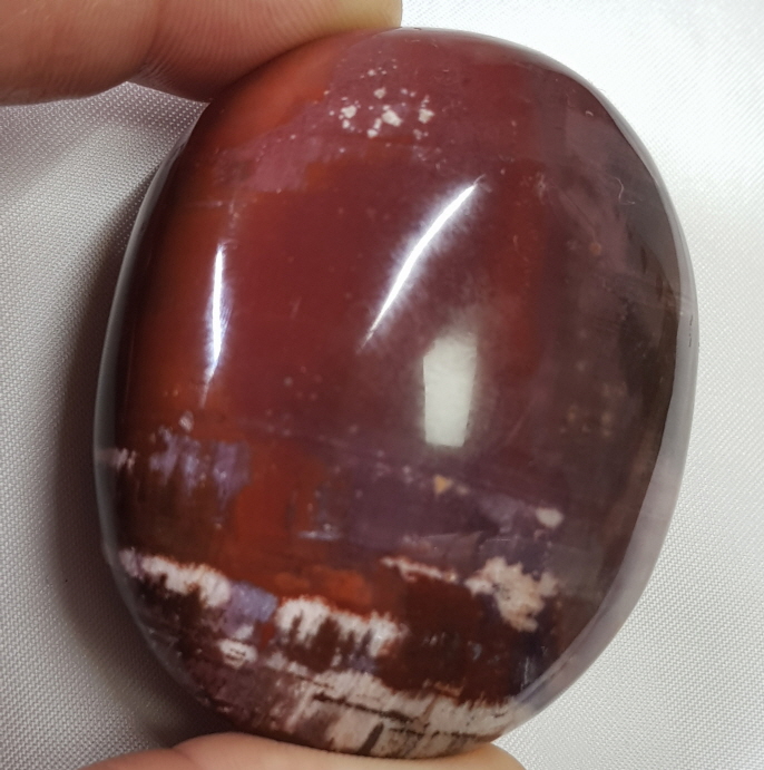 나무화석(규화목) 마사지 볼형