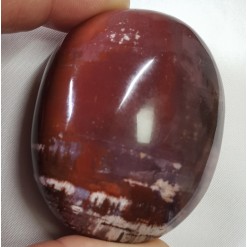 나무화석(규화목) 마사지 볼형