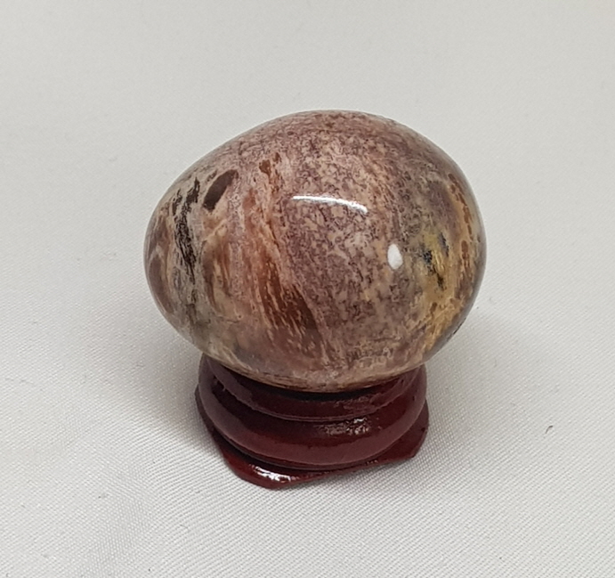 규화목 (나무화석)작은  계란형