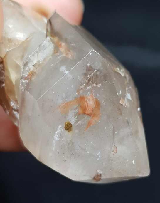 셉타수정 인쿠르젼