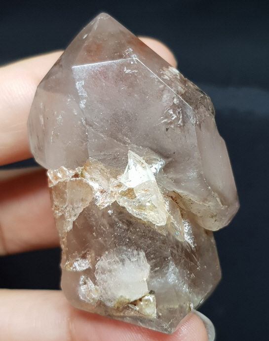 셉타수정 인쿠르젼