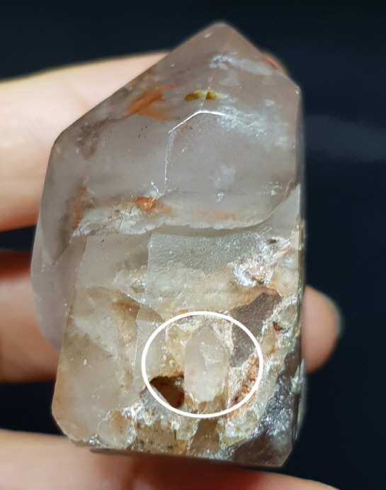 셉타수정 인쿠르젼