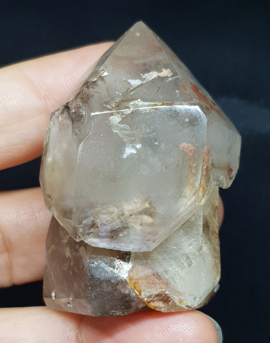 셉타수정 인쿠르젼