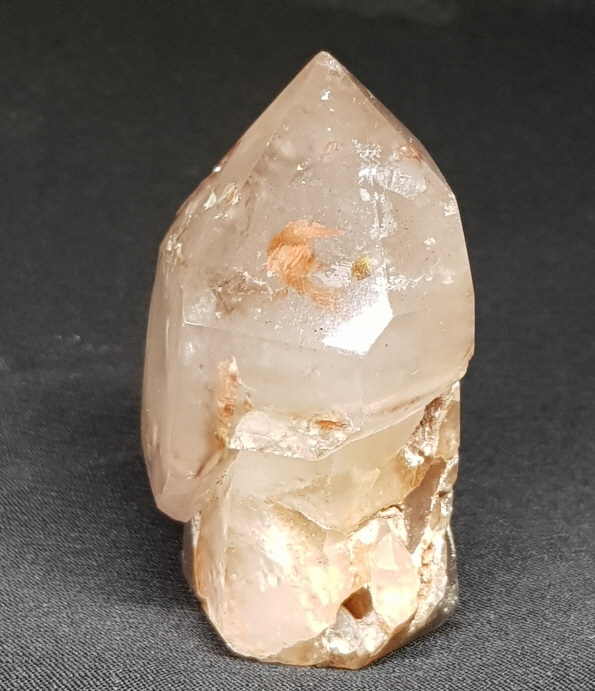 셉타수정 인쿠르젼