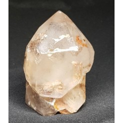 셉타수정 인쿠르젼