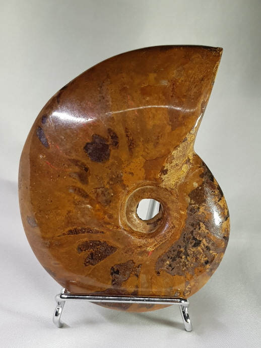 아프리카 암몰라이트