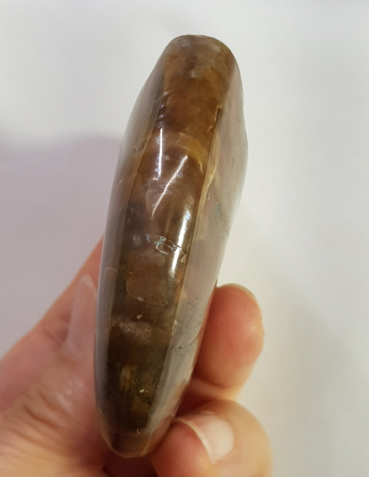 붉은 빛 오팔 암몰나이트 화석