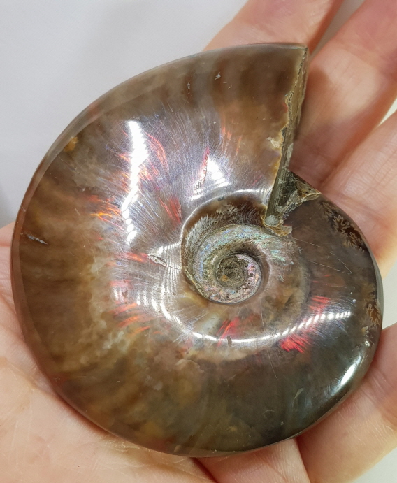 아프리카 붉은빛 암몰라이트