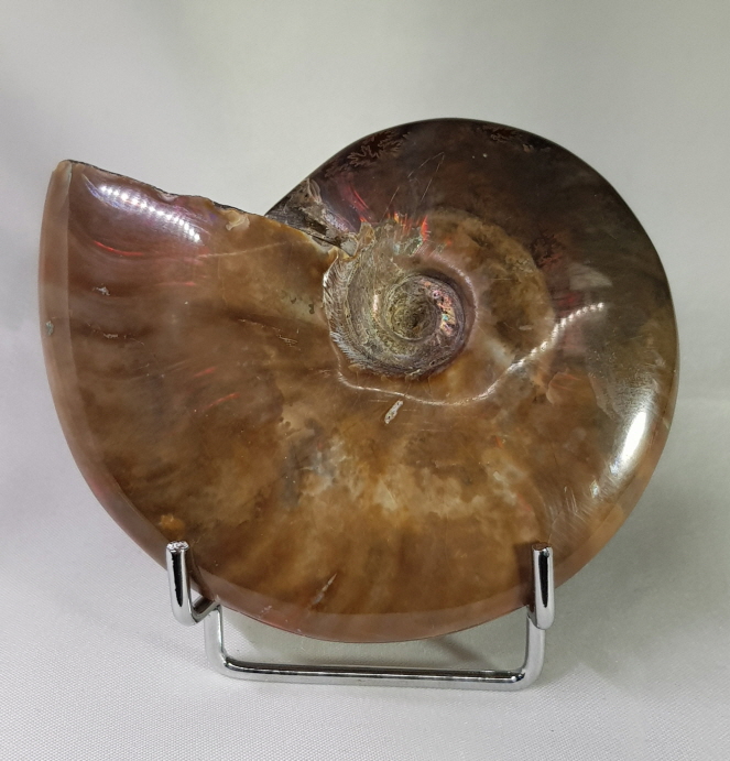 아프리카 붉은빛 암몰라이트