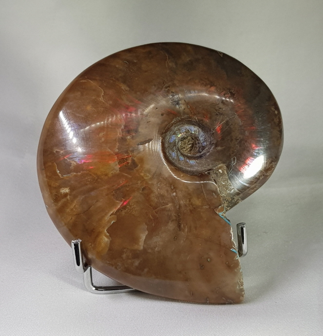 아프리카 붉은빛 암몰라이트