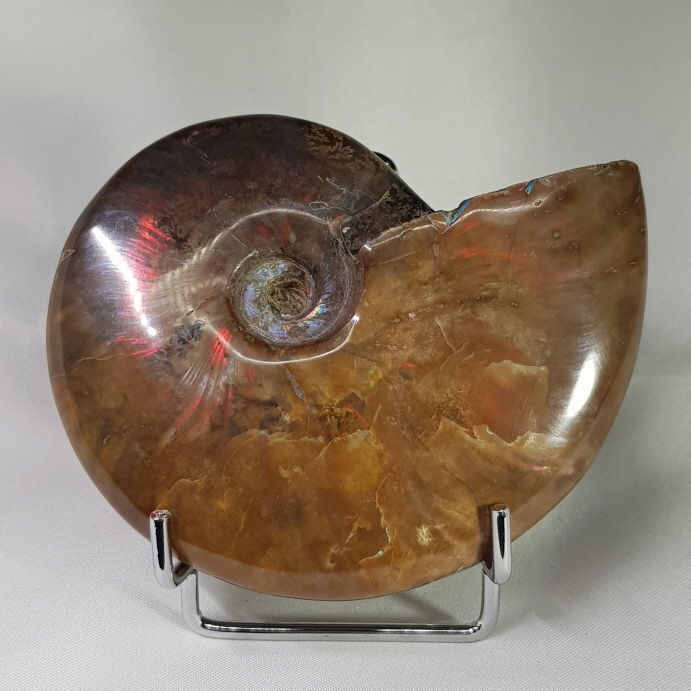 아프리카 붉은빛 암몰라이트