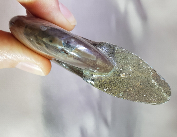 붉은 빛 오팔 암몰라이트화석