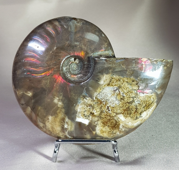 붉은 빛 오팔 암몰라이트화석