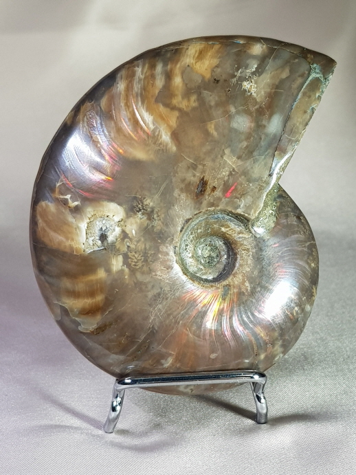 붉은 빛 오팔 암몰라이트화석