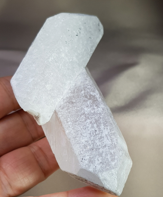 화이트 레무리안  크로스형 더블포인트