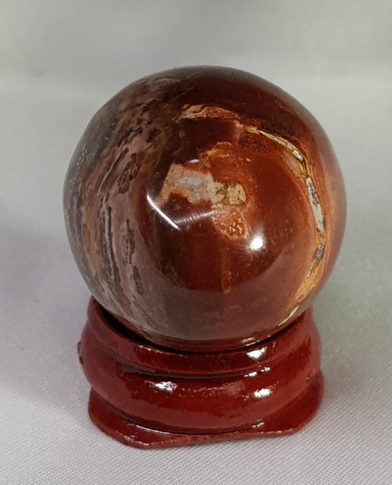 규화목(나무화석) 계란형