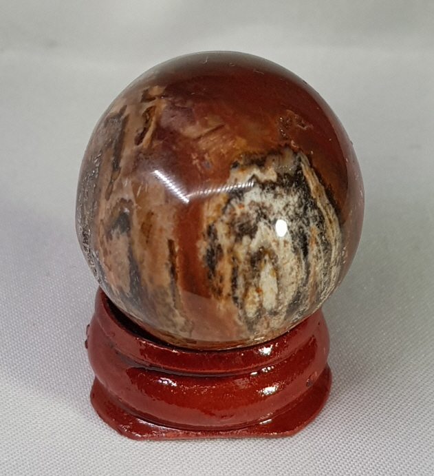 규화목(나무화석) 계란형