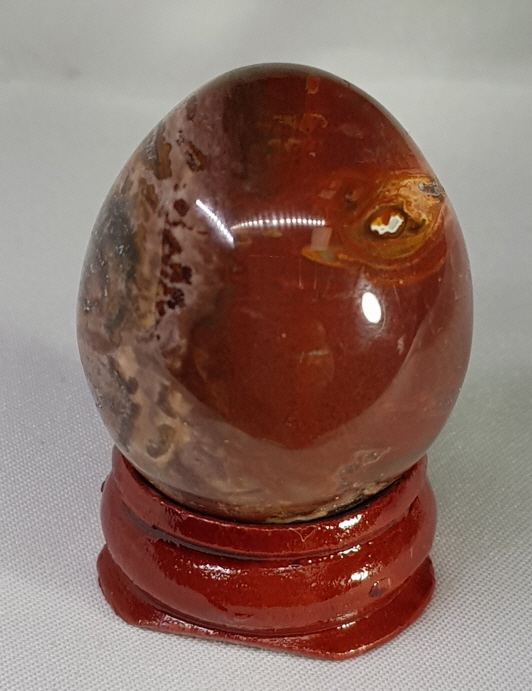 규화목(나무화석) 계란형