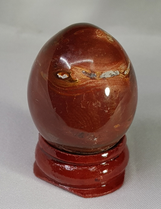 규화목(나무화석) 계란형