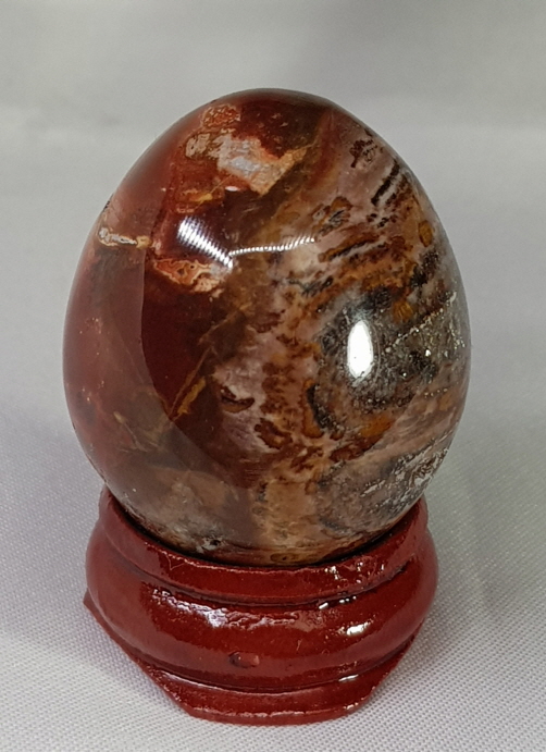 규화목(나무화석) 계란형