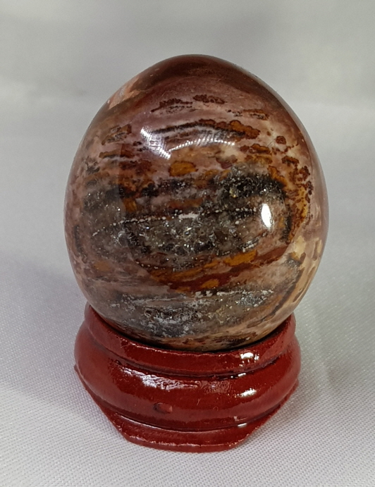 규화목(나무화석) 계란형