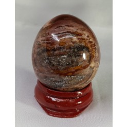 규화목(나무화석) 계란형