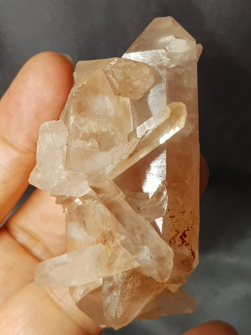 레무리안 시드 클러스터