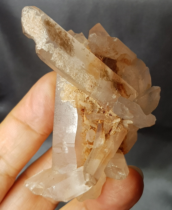 레무리안 시드 클러스터