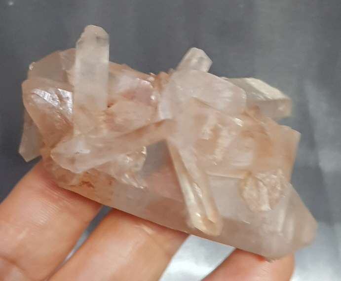 레무리안 시드 클러스터