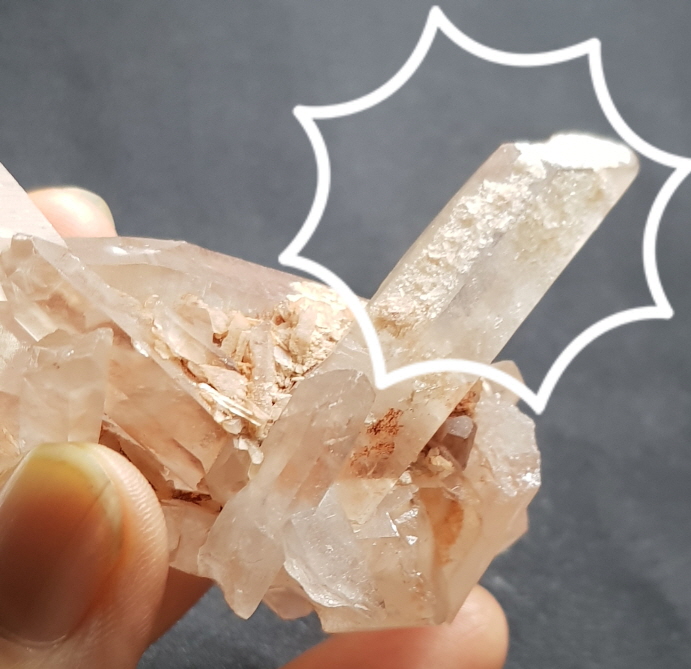 레무리안 시드 클러스터