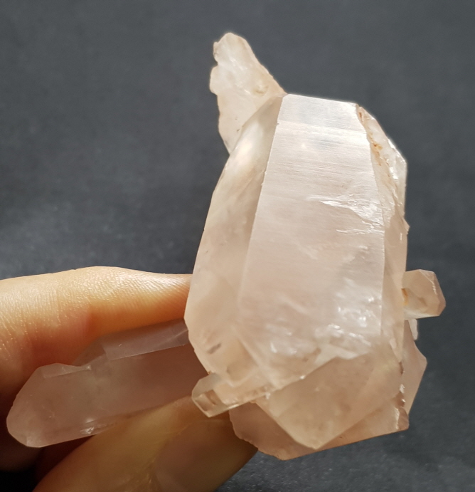 레무리안 시드 클러스터