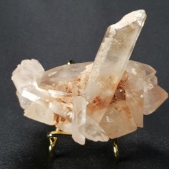 레무리안 시드 클러스터