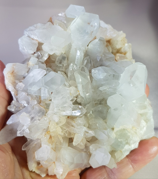 레무리안시드클러스터