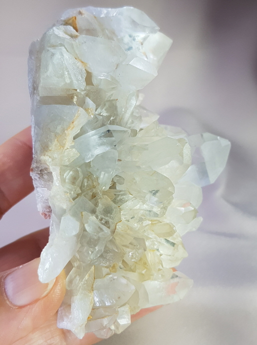 레무리안시드클러스터