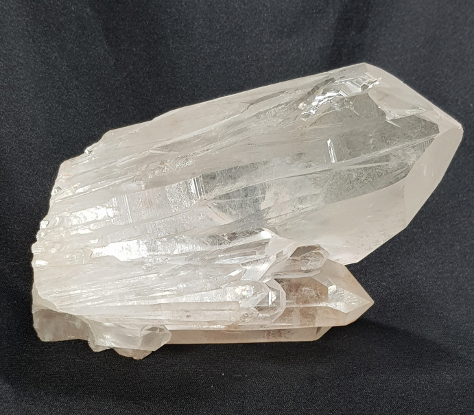 핑크 레무리아 시드 클러스터