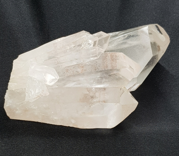 핑크 레무리아 시드 클러스터