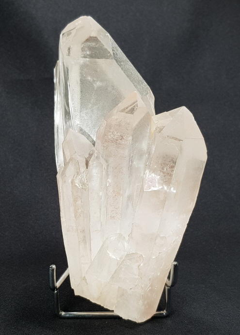 핑크 레무리아 시드 클러스터