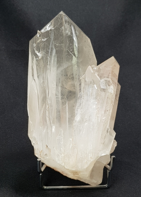 핑크 레무리아 시드 클러스터