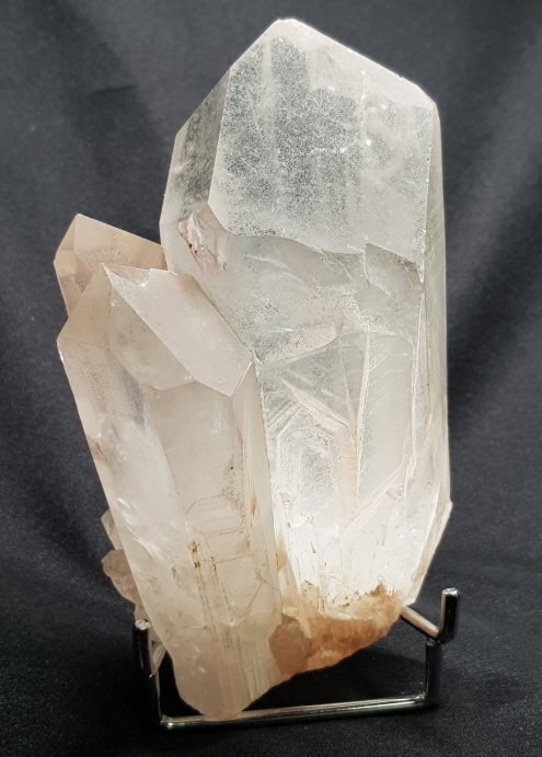 핑크 레무리아 시드 클러스터