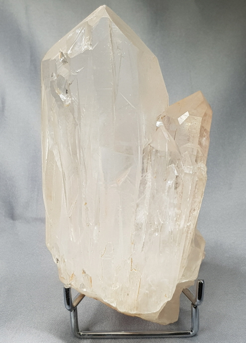 핑크 레무리아 시드 클러스터