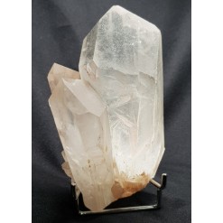 핑크 레무리아 시드 클러스터