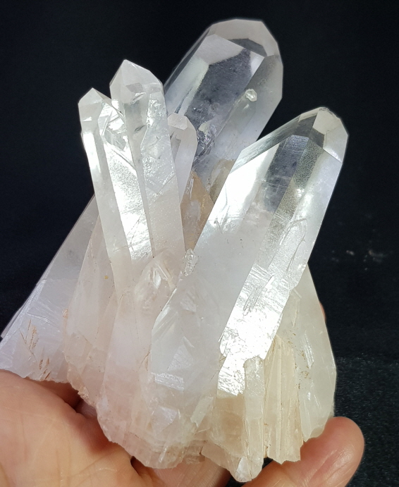 레무리안 투명도 좋은 클러스터