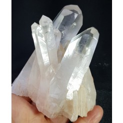 레무리안 투명도 좋은 클러스터