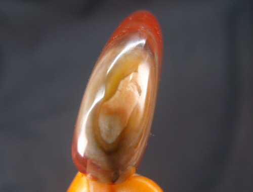 규화목(나무화석) 하트형 펜던트