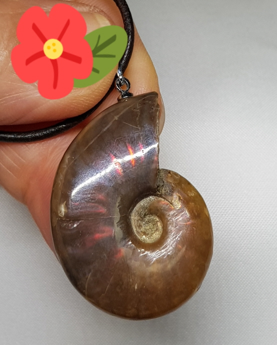 암몰라이트 화석 펜던트