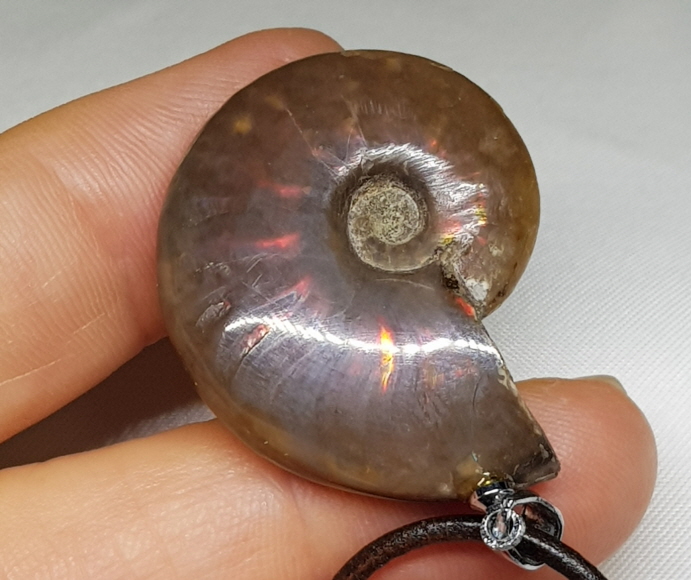 암몰라이트 화석 펜던트