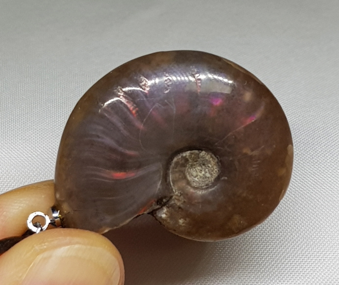 암몰라이트 화석 펜던트