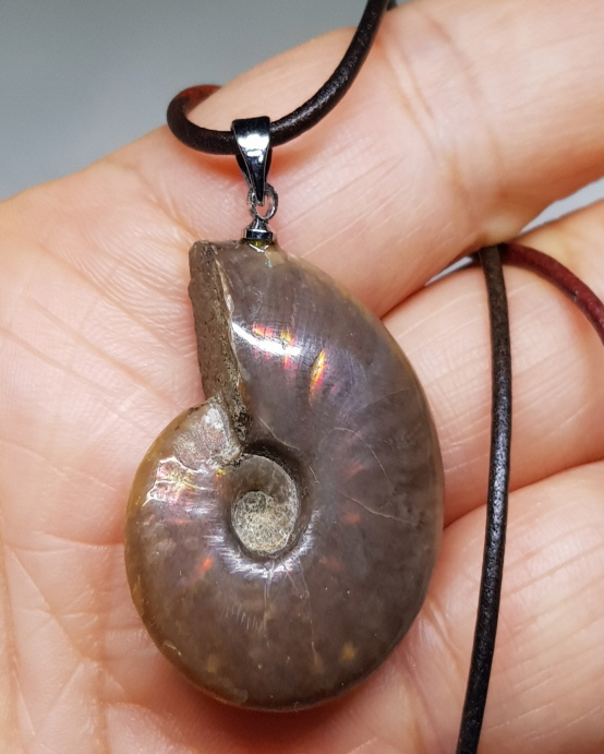암몰라이트 화석 펜던트