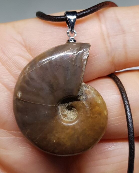 암몰라이트 화석 펜던트