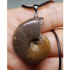 암몰라이트 화석 펜던트